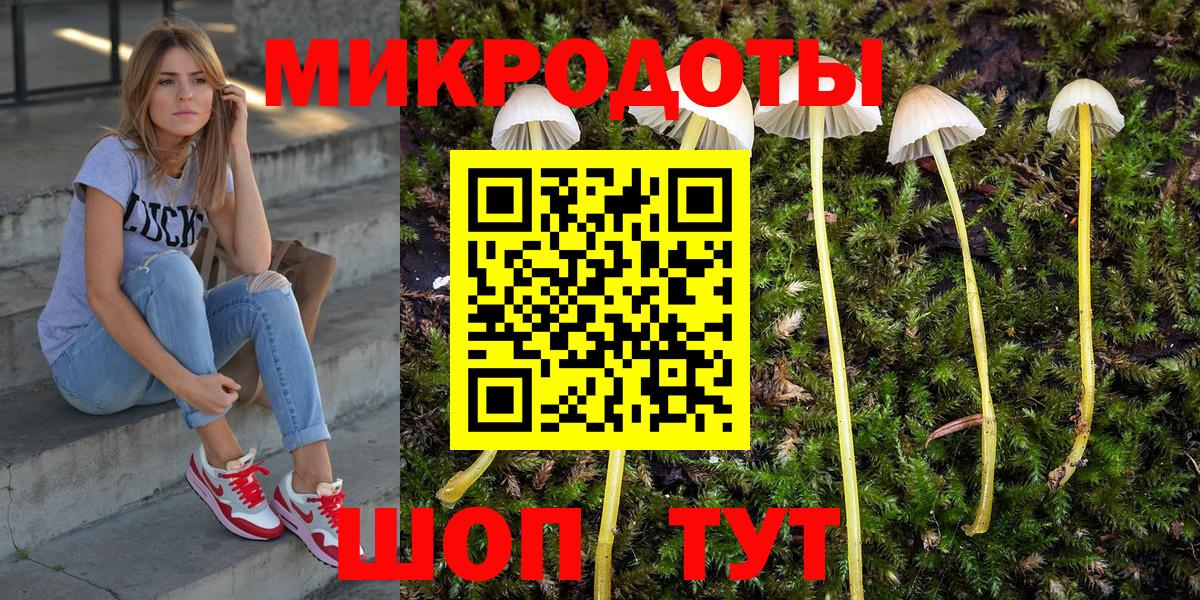 Псилоцибиновые грибы MAGIC MUSHROOMS Верхняя Пышма